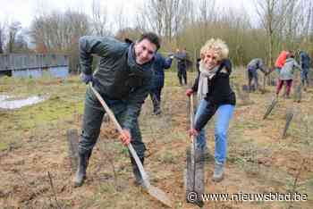 Breekwerfsite naast Brussels Airport transformeert tot compleet nieuw natuurgebied: “Steentje bijdragen aan een groenere toekomst”