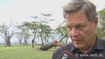 „Ist ja mein Vorschlag“ – Habeck muss wegen Scholz‘ Investitionsprämie „schmunzeln“