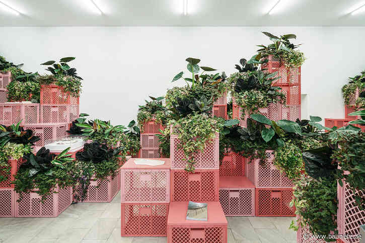 Love Stories, Gespräch und Pflanzen-Versteigerung
 - Ausstellung von Planorama in der Architektur Galerie Berlin