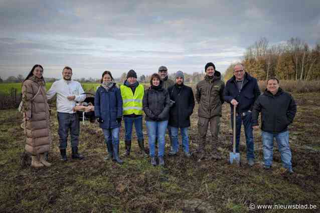 Preshoekbos weer iets groter dankzij geboortebomen