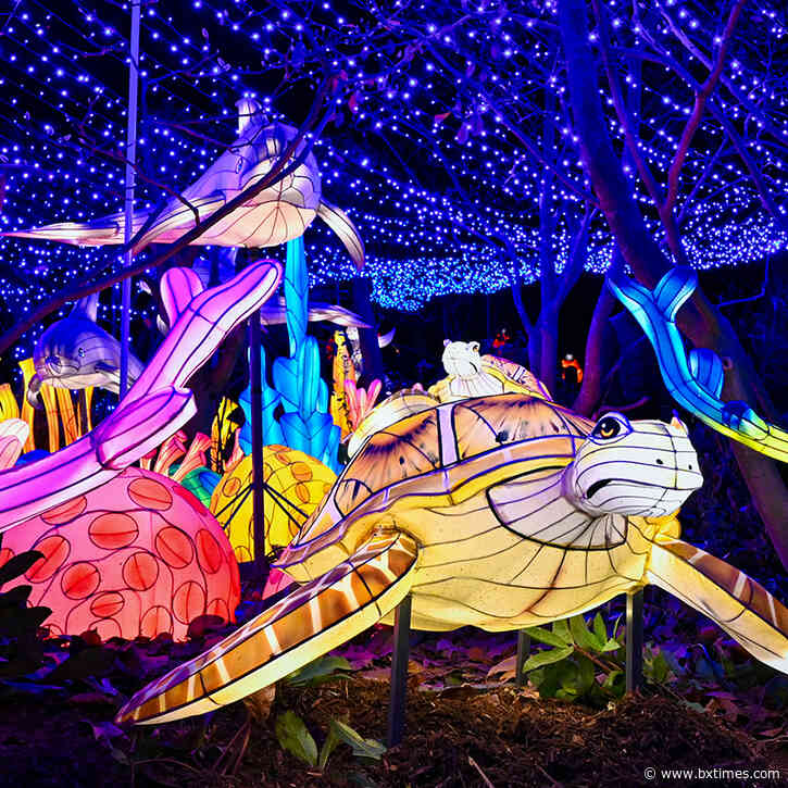 Column: It’s the holiday season — Spend it in the Bronx