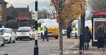 Boy, 14, could have 'life-changing injuries' after Eltham hit-and-run