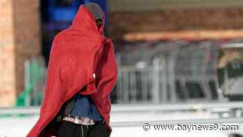 Hillsborough, Citrus counties to open cold weather shelters