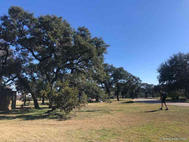 Cedar is back... earlier than expected