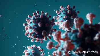 Hearing More About Bird Flu? Here's Everything to Know About Cases in People