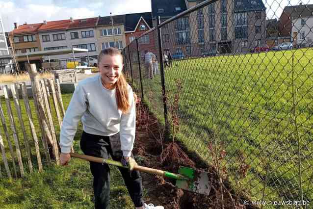 Campus GO Technisch Atheneum Halle dankzij plantactie stukje groener