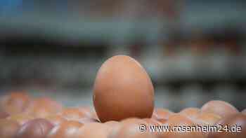 „Straußeneier“? 10.000 Euro Eierwurf-Schaden an Haus in Egerer - diese Beweise hat Kripo gesichert