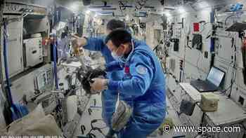 Fruit flies in space! Chinese astronauts show off experiment on Tiangong space station (video)