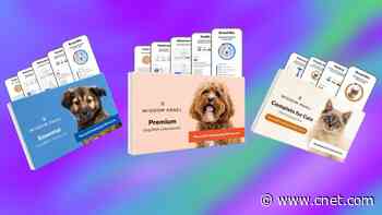 Grab The Wisdom Panel Pet DNA Kit for 35% Off With This Cyber Monday Deal