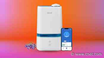 This Levoit Humidifier Saves My Sinuses During the Winter. It's on Sale for $36 Today