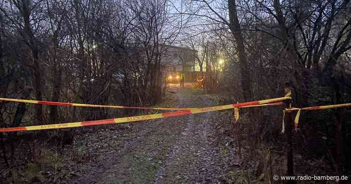 Flugzeugabsturz in Litauen: Alle Trümmerteile geborgen