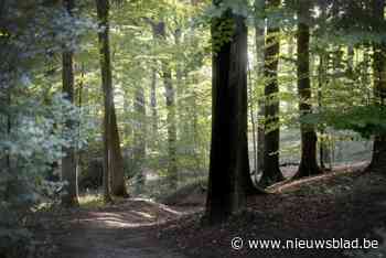 Man (63) die foto’s van naakte mannen met erectie op wandelpaden legt, riskeert celstraf: “Ik ben als klein geschapen man vernederd geweest”