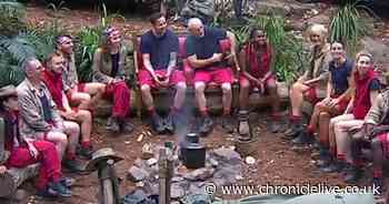 I'm A Celebrity ITV 'upset' on cards as odds slashed on one star to win