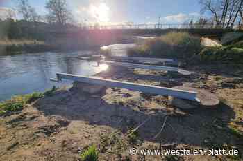 Warburg: Sitzsteg soll die nächste Attraktion an der Diemel werden