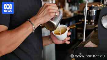 Victoria named worst state to open new cafe as Labor debates brand damage in Albanese stronghold