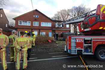 Woning onbewoonbaar na brand in Kleine-Brogel: “Alleen parkiet heeft het niet overleefd”