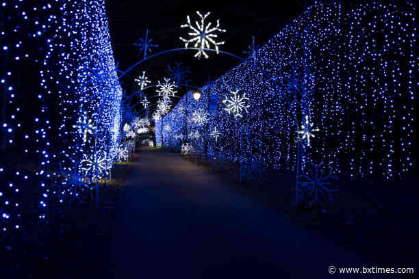 What’s happening | plays and fun holiday events