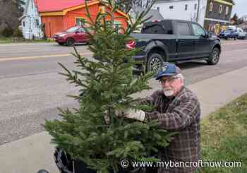 Making the streets festive in Maynooth: ‘Without him we’d be in trouble’ 