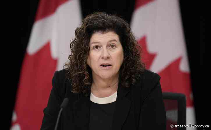 Pandemic business loan program lacked ‘value for money’: auditor general