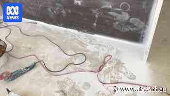 Caesarstone alleged to be hiding behind war in Gaza to delay potential silicosis compensation payout in Australia