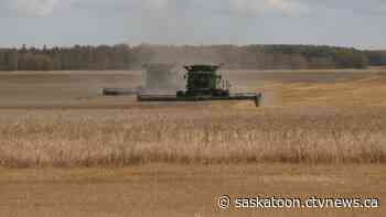 Saskatchewan farmers voice concerns as U.S. tariff talks heat up