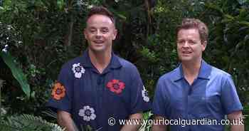 Who went out of I'm a Celebrity tonight? See third campmate to leave the jungle