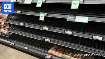 More empty shelves in Woolworths supermarkets as industrial action continues