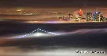 ‘Near zero visibility’: Drivers warned of dense fog on Lower Mainland roads