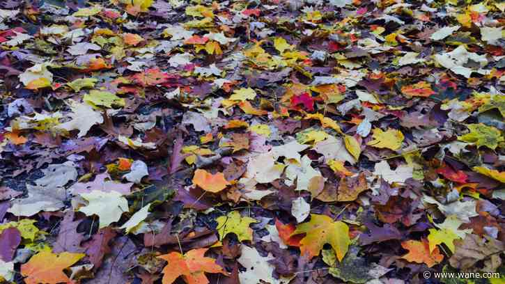 Fall 2024 ranks among top warmest and driest in Fort Wayne history