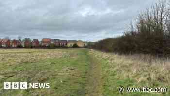 Pathway plan to create 'sustainable' travel options