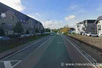 Voetganger overleden in Zottegem