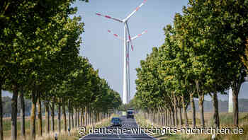 Die grüne Utopie: Energiewende in Deutschland mehr Ideologie als Realität?