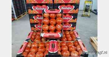 "Tomatenexport Kreta zal vanaf 15 december toenemen"
