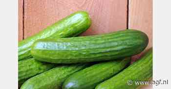 RASFF: Flonicamide in mini-komkommers uit Nederland