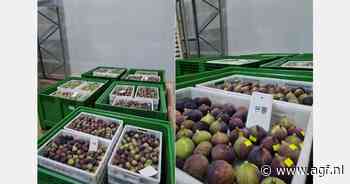 "Met onze technologie zijn vijgen 28 dagen houdbaar"