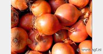 Lange gevangenisstraffen voor Nederlanders die drugs tussen uien, knoflook en gember verstopten