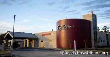 Rural providers, advocates push Texas Legislature to "rescue" maternal health care system