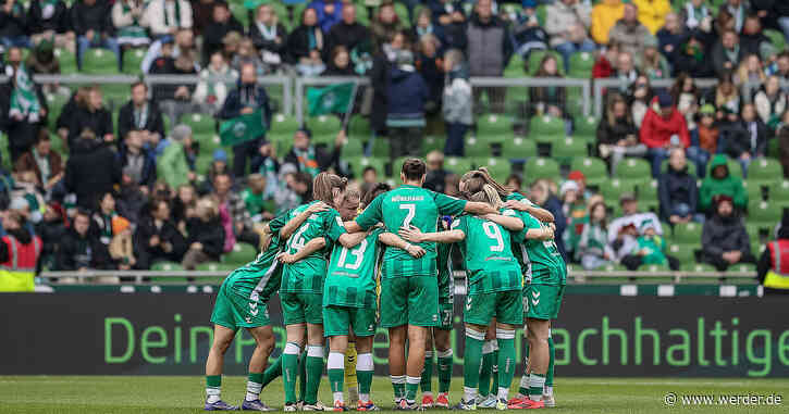 Erfolgreich, aber nicht euphorisch