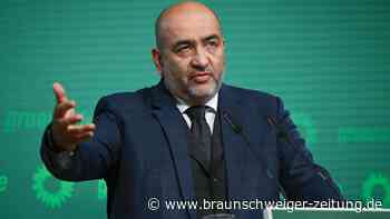 Neue Aufgabe für Ex-Grünen-Chef Omid Nouripour