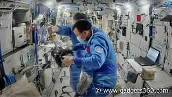 Fruit Fly Experiment on Tiangong Space Station Explores Effects of Microgravity