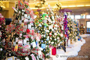 Beliebte Christbaumverlosung auf dem Neu-Ulmer Wochenmarkt