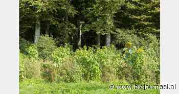 'Zo snel mogelijk duidelijkheid en zekerheid over verdeling extra budget 'agrarisch natuurbeheer' nodig'