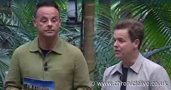 I'm A Celebrity's Ant and Dec 'shaken up' as star kicked off ITV show in shock result