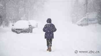 Snowfall warnings call for 10-25 cm in parts of Manitoba on Tuesday