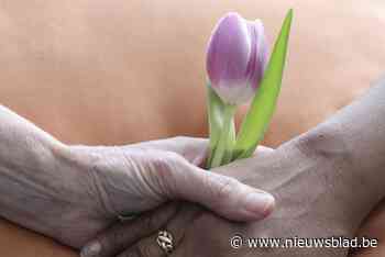 Cursisten Koninklijke Kalmthoutse Fotokring tonen foto’s