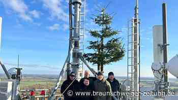 Der wohl höchste Weihnachtsbaum strahlt  wieder in Barwedel