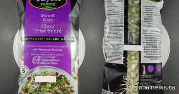 Salad kits recalled in Canada due to salmonella risk