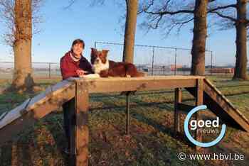Veel geuren, bruggetjes en zigzagroute: nieuwe snuffelroute voor honden geopend in Bocholt
