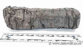 Can YOU decipher these scrolls? Scientists are offering a £400,000 prize if you can read a manuscript that was charred during the eruption of Mount Vesuvius