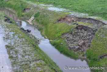 “Ik vrees dat er eens iemand in zal vallen, en dan...”: Dany (49) en buren maken zich zorgen over inzakkende gracht in hun straat